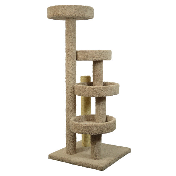 Molly and Friends 60" The Lounge Cat Tree & Reviews Wayfair